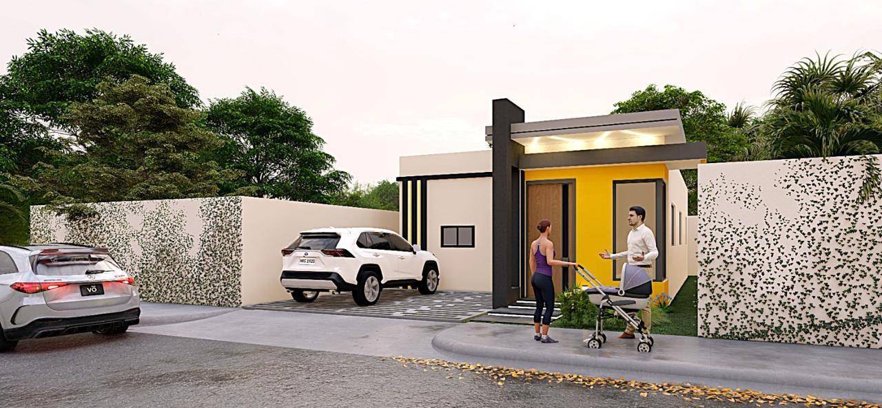 Proyecto de Casas en Marginal Las Americas
